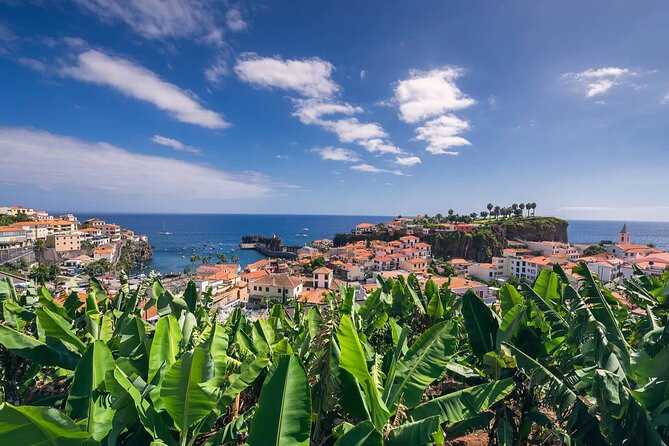 Private Tuk Tuk Tour on Câmara de Lobos, Fishing Village - Getting oriented at Lido’s New Town (your Funchal start line)