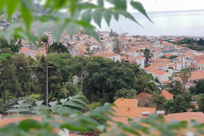 Private Tuk Tuk Tour to Old Town + Monte in Funchal - Stop 1: Paroquia de Nossa Senhora do Monte in the heart of Monte