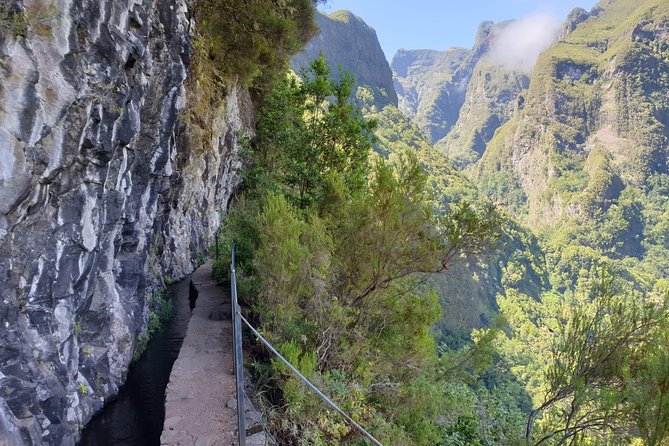 Queimadas-Caldeirão Verde - Madeira’s Laurissilva forest hike, minus the hassle