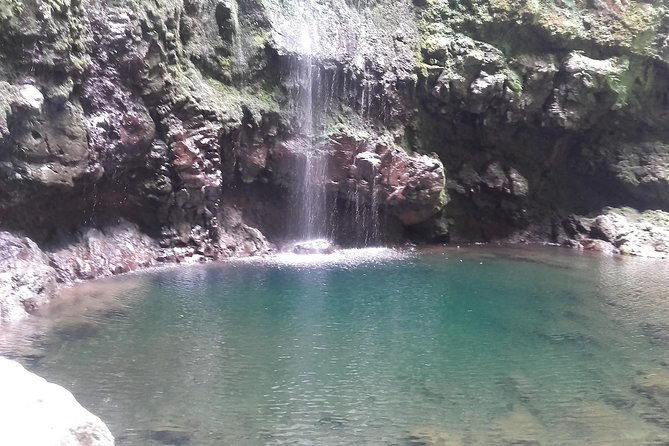 Queimadas-Caldeirão Verde - Transfers from Funchal: smooth logistics that keep the day fun