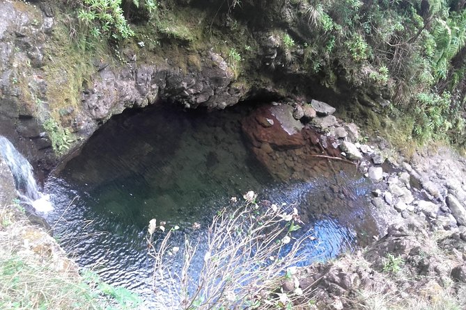 Queimadas-Caldeirão Verde - Small group size: why max 16 matters on a forest walk