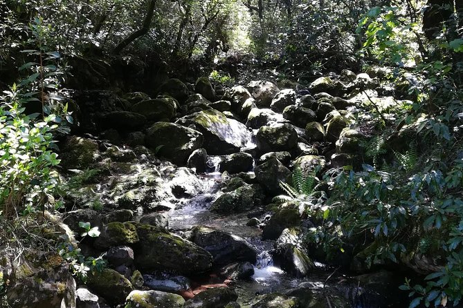 Queimadas-Caldeirão Verde - Price and value: is $54.19 a smart buy?