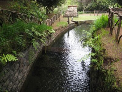Queimadas Caldeirao Verde Full day hike - Following the Levada of Caldeirão Verde through laurel forest