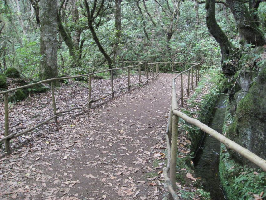 Queimadas Caldeirao Verde Full day hike - Who this Queimadas hike is for (and who should skip it)