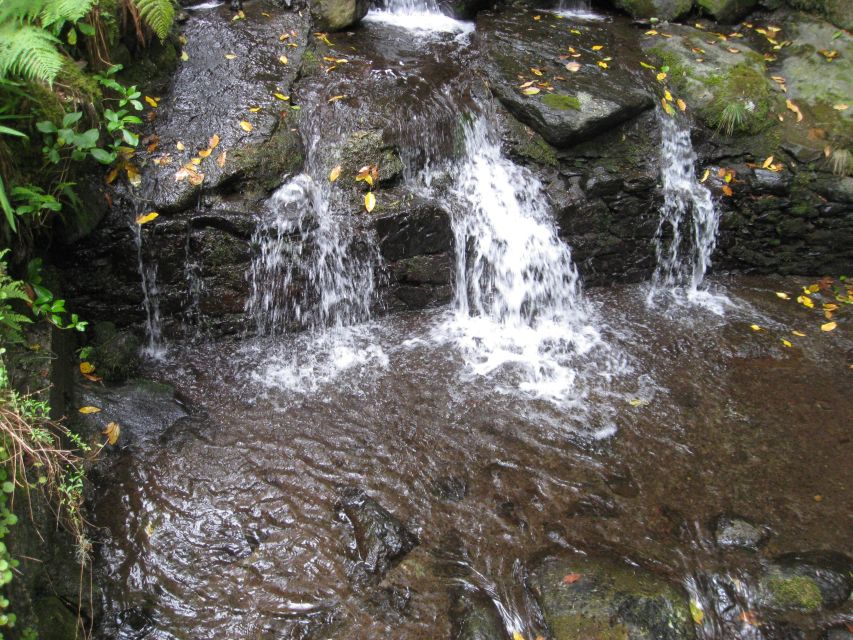 Queimadas Caldeirao Verde Full day hike - Price and value: what you’re paying for on a full Madeira walking day