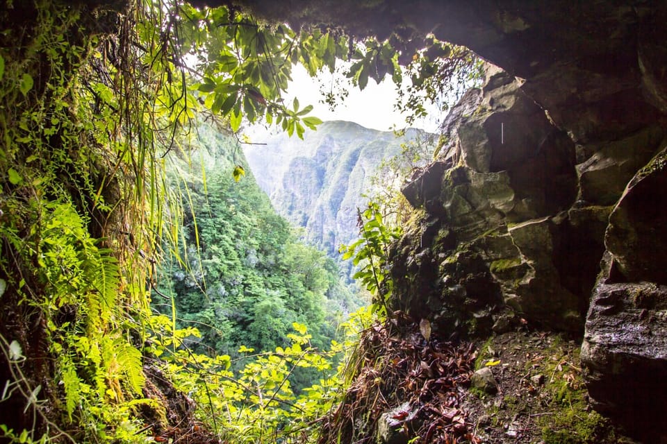 Queimadas Caldeirão Verde Madeira Island Walk - Key highlights you’ll actually feel on this walk
