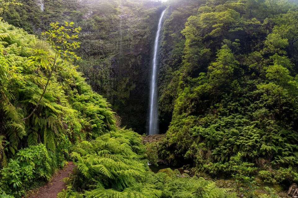 Queimadas Caldeirão Verde Madeira Island Walk - Queimadas to Caldeirão Verde: what makes this hike worth your day