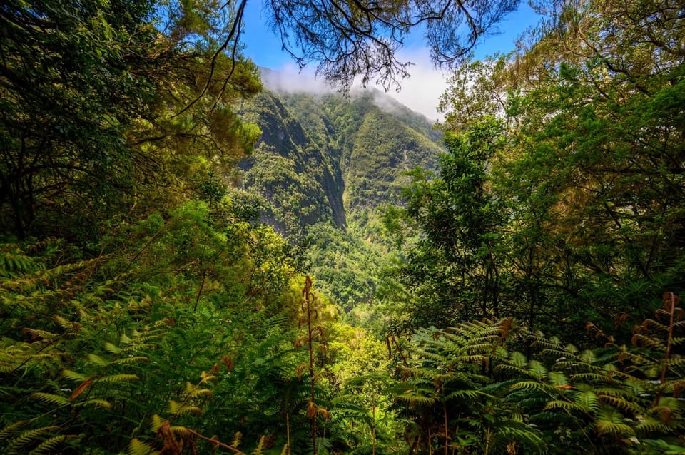 Queimadas Caldeirão Verde Madeira Island Walk - Pickup in Funchal: convenient coverage, with small practical quirks