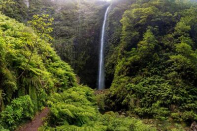 Queimadas Caldeirão Verde Madeira Island Walk - The full day schedule from Funchal (and why timing matters)