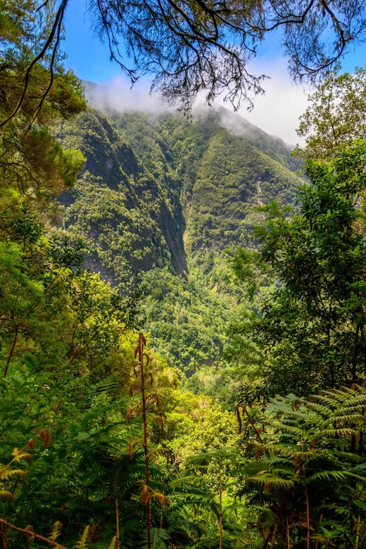 Queimadas Caldeirão Verde Madeira Island Walk - Price and value: what $45 covers, and what can add up