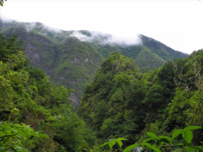 Queimadas Caldeirão Verde Walking tour with guide - Key highlights you’ll feel on the hike
