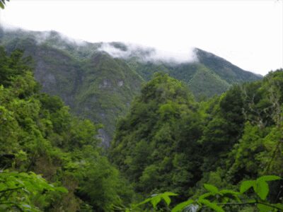 Queimadas Caldeirão Verde Walking tour with guide - Queimadas forest park logistics: full day timing and transfers