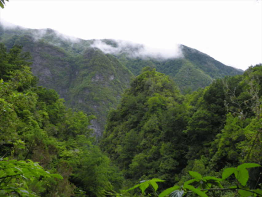 Queimadas Caldeirão Verde Walking tour with guide - Queimadas forest park logistics: full day timing and transfers