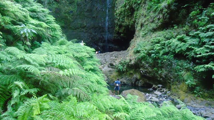 Queimadas Natural Park 5-Hour Guided Hike - Caldeirão Verde Levada: Madeira’s Old Water-Channel Walk
