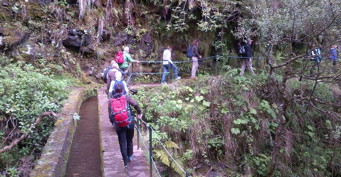 Queimadas Natural Park 5-Hour Guided Hike - Hand-Carved Tunnels: What to Pack for Dark Passages