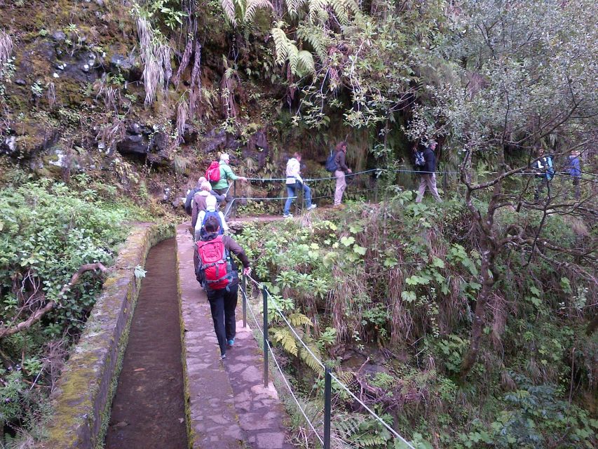 Queimadas Natural Park 5-Hour Guided Hike - From Funchal Pickup to Return: Timing to Expect