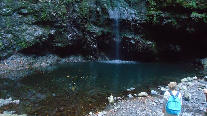 Queimadas Natural Park 5-Hour Guided Hike - How Much It Costs and Who This Hike Fits Best