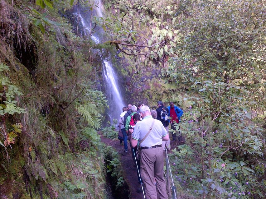 Queimadas Natural Park 5-Hour Guided Hike - Should You Book This 5-Hour Guided Caldeirão Verde Hike?