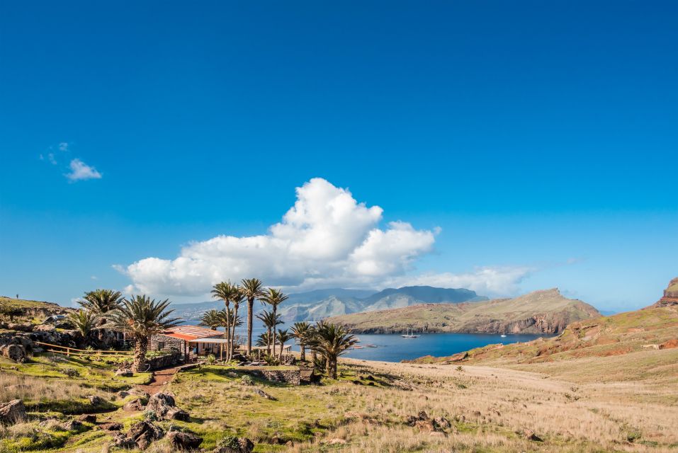 Quinta do Lorde: Kayak Experience in Ponta de São Lourenço - The Casa do Sardinha Nature Spot Café Stop