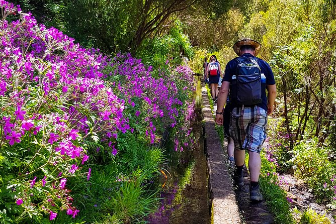 Rabaçal 25 Fontes Levada Walk in Small Groups - Weather Rules: Why You Should Plan Around the Forest