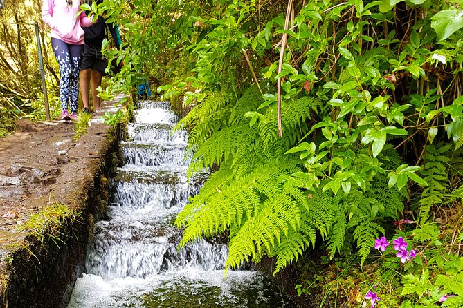 Rabaçal 25 Fontes Levada Walk in Small Groups - 25 Fontes and Cascada da Risco: The Main Event