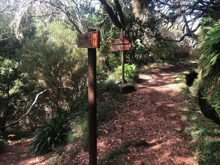 Rabaçal: 25 Fontes & Risco Levada Transfer Self-guided Hike - Who this self-guided hike is best for (and who should skip it)