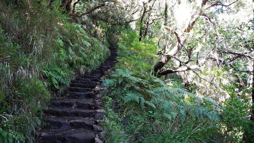 Rabaçal: 25 Fontes & Risco Levada Transfer Self-guided Hike - Price and Logistics: what’s included (and what you must budget)