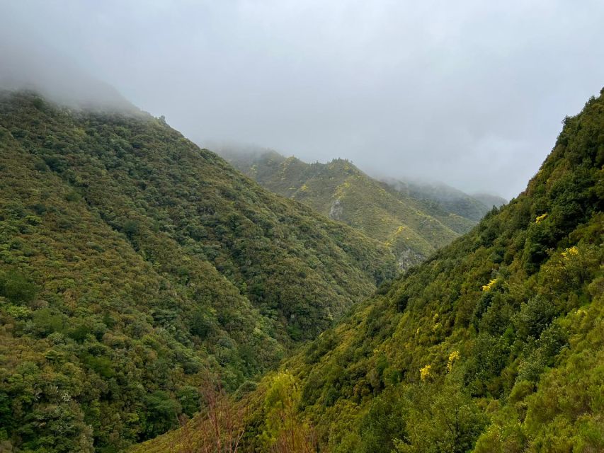 Rabaçal: 25 Fontes & Risco Levada Transfer Self-guided Hike - Your 5-hour self-guided plan: how to actually make it work