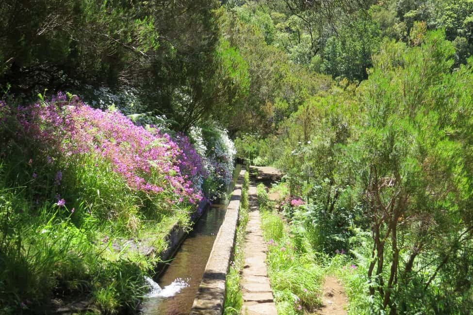 Rabaçal: 25 Fontes & Risco Levada Transfer Self-guided Hike - Risco Levada: the payoff that often feels less crowded