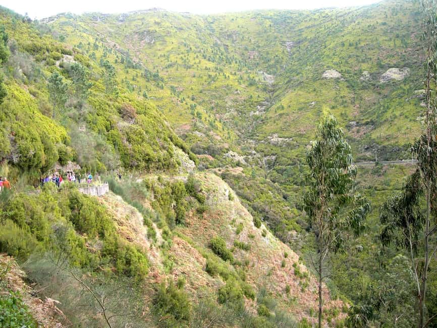 Rabaçal: 25 Fontes & Risco Levada Transfer Self-guided Hike - From Funchal to Rabacal: shared van, predictable timing, fewer headaches
