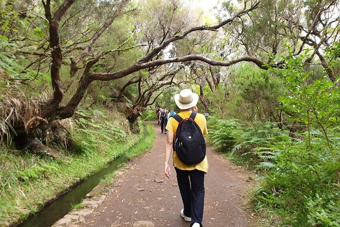 Rabaçal / 25 Fonts - The 4-hour trail to the 25 Fontes: waterfalls, fountains, and a real sense of place