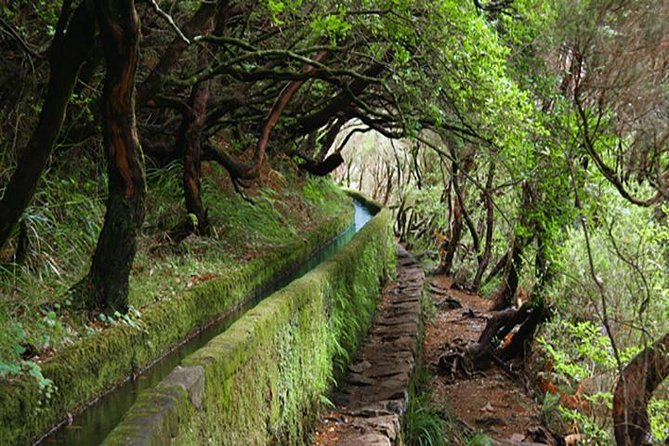 Rabacal - 25 Fountains - Key things you’ll notice on this Rabacal hike