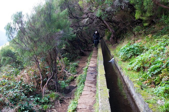 Rabaçal Hiking Tour - Why Rabacal and the Laurissilva Forest feel special