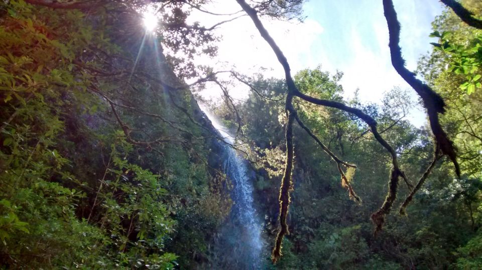 Rabaçal: Lagoa do Vento, Levada Risco and Levada 25 Fontes - Key highlights you’ll actually feel