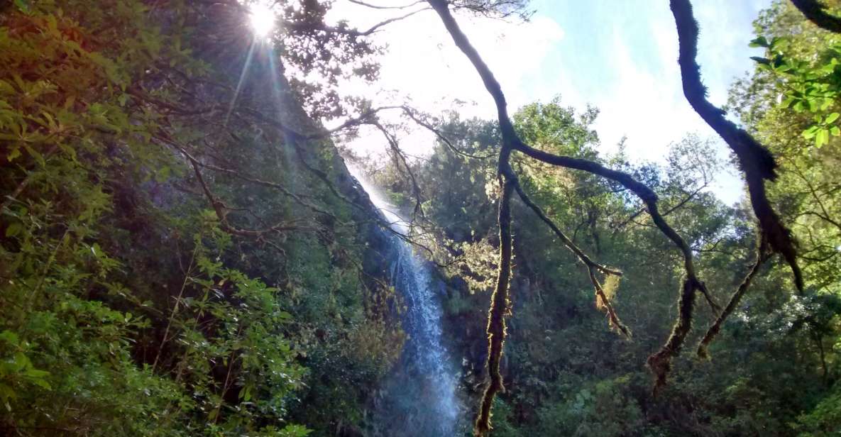 Rabaçal: Lagoa do Vento, Levada Risco and Levada 25 Fontes - 25 Fontes: the 4-hour hike block you should plan around