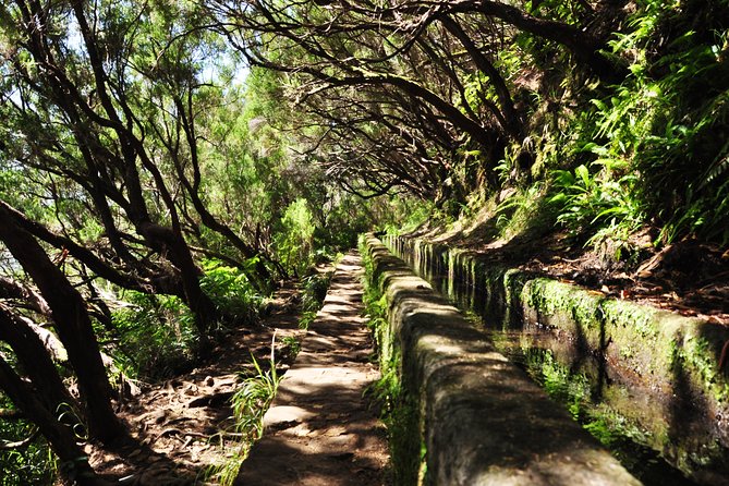 Rabaçal - Levada das 25 Fontes - What to bring: shoes, food, and a little humility