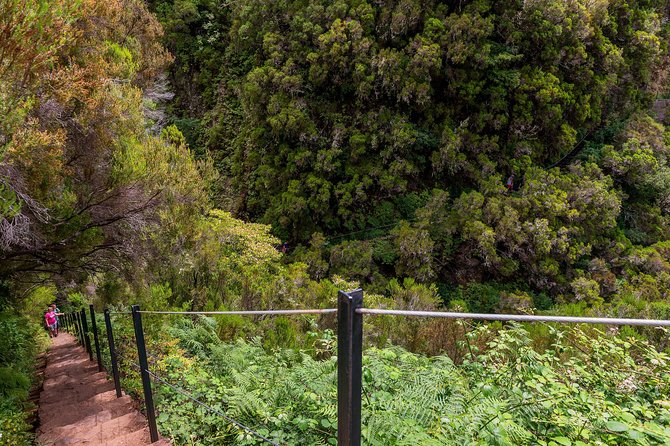 Rabaçal - Levada das 25 Fontes - Booking decision: should you go?