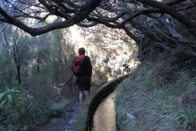 Rabaçal / Risco / 25 Fountains Full-day walk - Laurisilva Forest Stop: Your First Nature Payoff