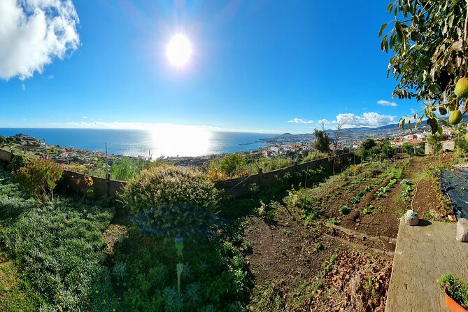 "Re-Canto" Farm-to-Table with Stunning Views at Madeira - The 4 Courses: Espetada at the Center