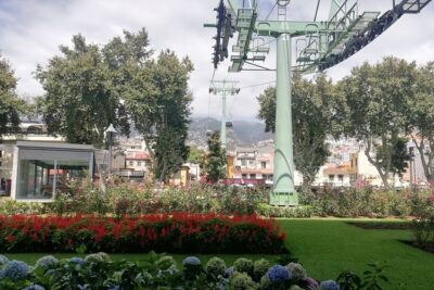 Real Life, Mountains & Sea Cliffs + Lunch + Levada walk - 6 hours - Câmara de Lobos climbs: wine region roads and the 700m viewpoint