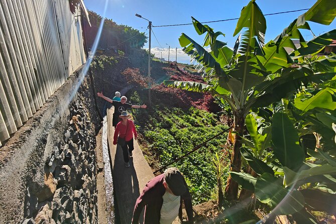 Real Life, Mountains & Sea Cliffs + Lunch + Levada walk - 6 hours - Jardim da Serra: cherries, chestnuts, and a cold drink stop that fits