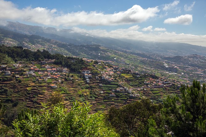 Real Life, Mountains & Sea Cliffs + Lunch + Levada walk - 6 hours - Vereda da Fajã das Galinhas: views that feel hard to describe