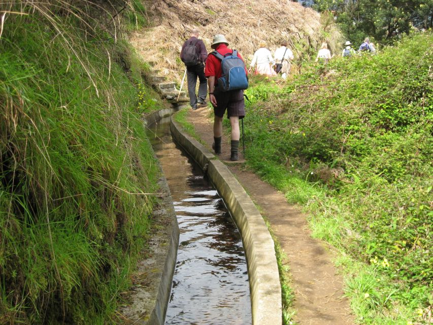 Referta & Castelejo: Half-Day Morning Walk - Morning air, Levada do Castelejo, and an easy start you’ll enjoy