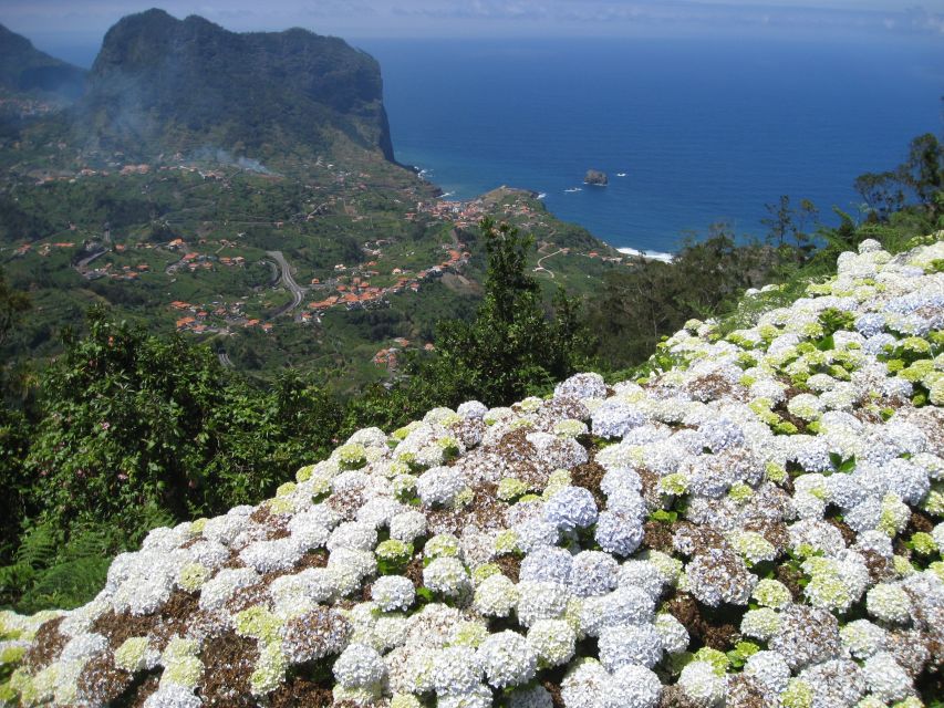 Referta & Castelejo: Half-Day Morning Walk - Endemic flora and fauna explanations that actually help you spot things