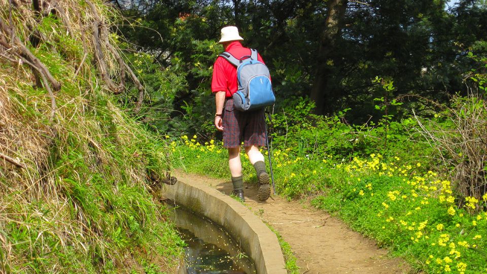 Referta / Castelejo - Levada Walk - Key highlights you’ll feel on day one