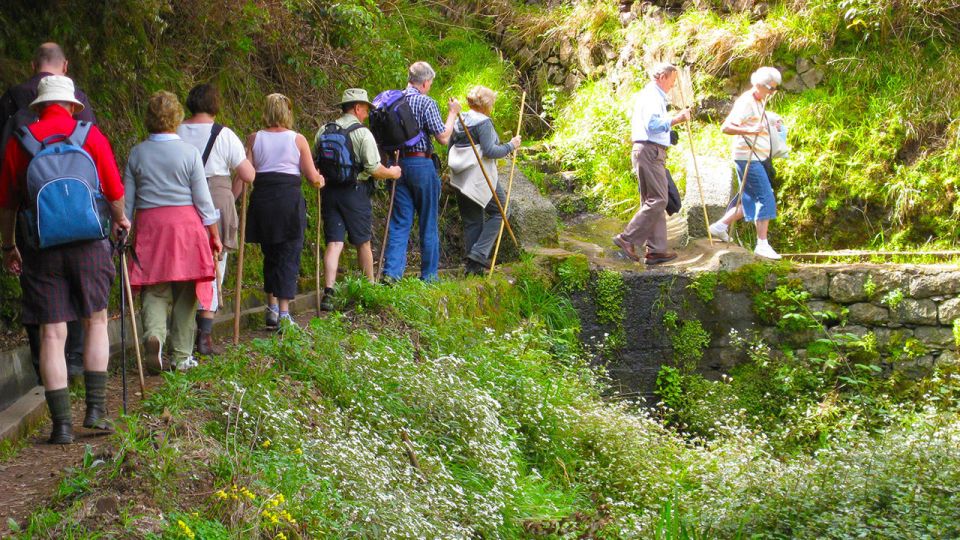 Referta / Castelejo - Levada Walk - Your guide makes the difference: spotting plants and small details