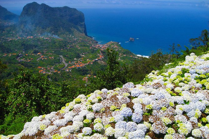 Referta Castelejo Levada Walk from Funchal - Price and what feels like value for your $39.76