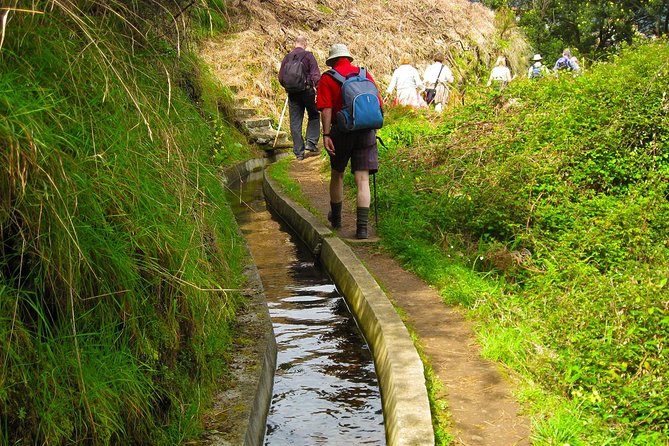Referta Castelejo Levada Walk from Funchal - Walking the Levada do Castelejo: what 5.5 km feels like