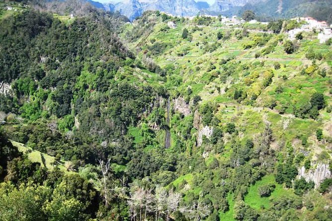 Referta Castelejo Levada Walk from Funchal - The morning flow: pickup, the 8:30 start, and a relaxed pace