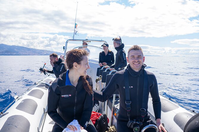 Responsible Whales and/or Dolphins Watching Tour - 2 Hours of Sea Time: How the Search Plays Out